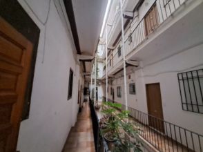 Imagen Botanic