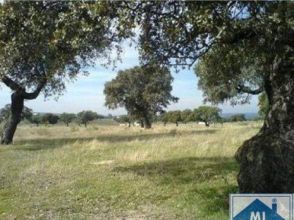 Imagen San Luis-San Juan-Santa Isabel