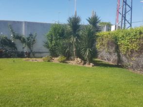 Imagen de Campo de la Verdad, Sector Sur, Guadalquivir (Distrito Sur)
