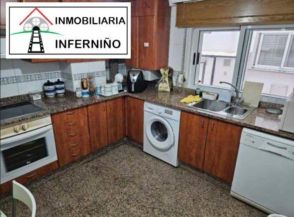Imagen Canido