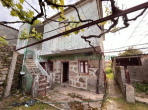Imagen de Nogueira