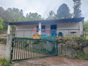 Imagen Piñor