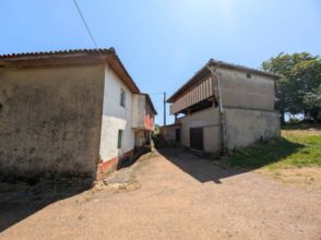 Imagen Llanera