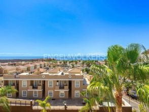 Imagen Palm-Mar