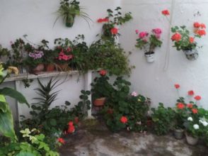 Imagen de Alcázar de San Juan Población