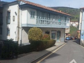 Imagen Tineo
