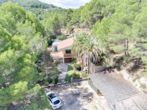 Imagen Muro de Alcoy