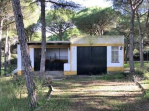 Imagen Chiclana de la Frontera