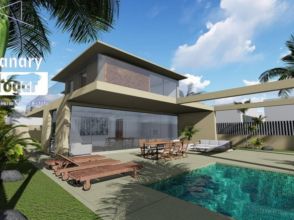 Imagen Palm-Mar