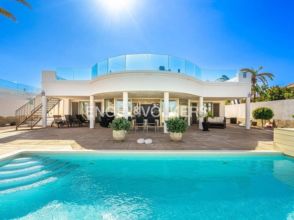 Imagen Palm-Mar