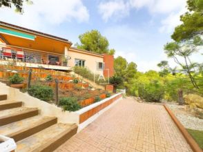 Imagen de Pinar de Campoverde