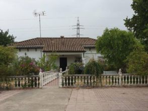 Imagen Prado del Rey