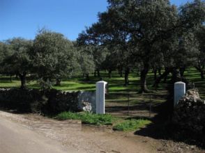 Imagen Fuentes de León