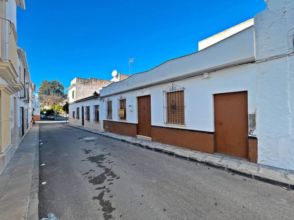 Imagen Lora de Estepa