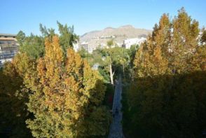 Imagen Orihuela