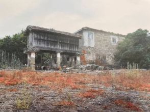 Imagen Punxín Población