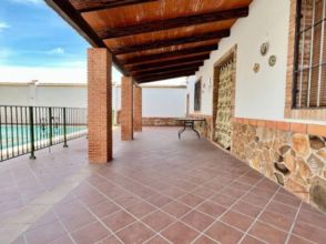 Imagen Lora de Estepa