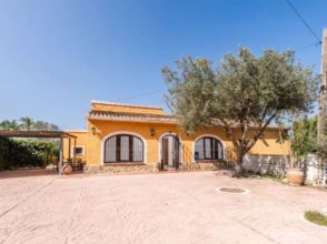 Imagen de Los Cerezos-La Mandarina-La Finca-Covatelles