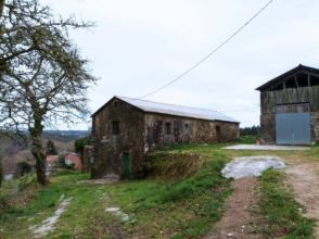 Imagen Liñaio
