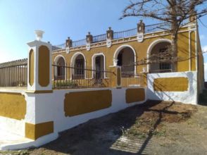 Imagen de Tinajo