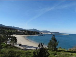 Imagen Miñortos