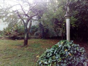 Imagen Centro