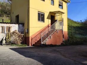 Imagen Tineo