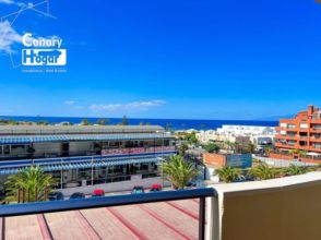 Imagen Palm-Mar