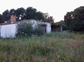 Imagen Medina-Sidonia