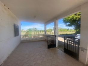 Imagen Almazora (Almassora)