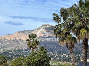 Imagen Los Cerezos-La Mandarina-La Finca-Covatelles