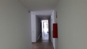 Imagen Coria del Río