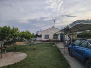 Imagen Nuez de Ebro