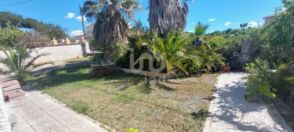 Imagen de Pinar de Campoverde