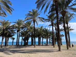 Imagen Playamar-Benyamina
