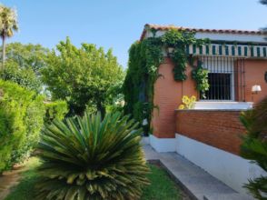 Imagen de Carmona