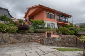 Imagen Matamá