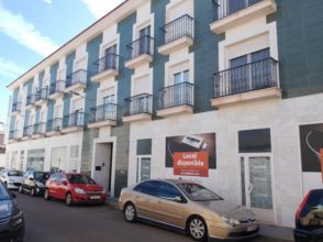 Imagen Manzanares