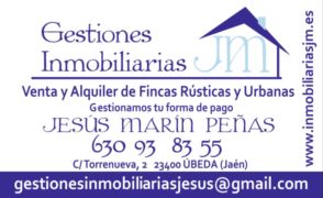 Imagen Úbeda Población
