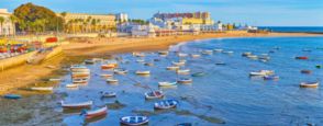 Imagen La Caleta - La Viña
