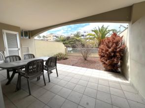 Imagen Palm-Mar
