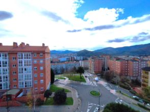Imagen Txurdinaga