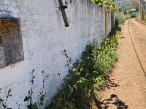 Imagen de Vega de San Mateo