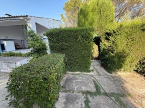 Imagen de Úbeda Población