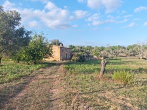 Imagen SANT LLORENÇ DES CARDASSAR (Pueblo)