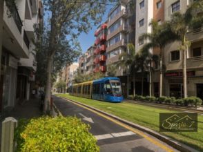 Imagen de Las Mimosas-Salamanca-Uruguay