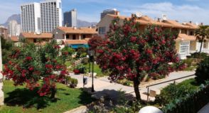 Imagen Benidorm