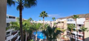 Imagen Palm-Mar