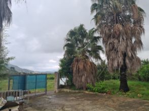 Imagen de Sagra