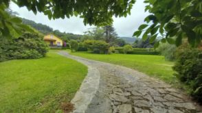 Imagen Cervo